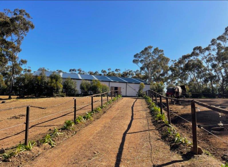 3 Bedroom Property for Sale in Firlands Western Cape
